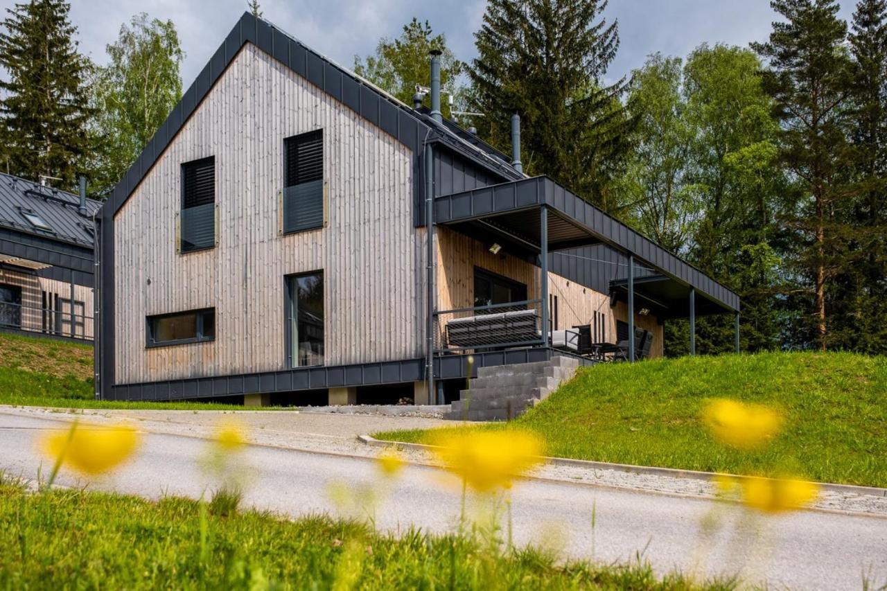 ליפנו נאד וויטאבו Holiday House U Hajenky 11P Lipno Home מראה חיצוני תמונה
